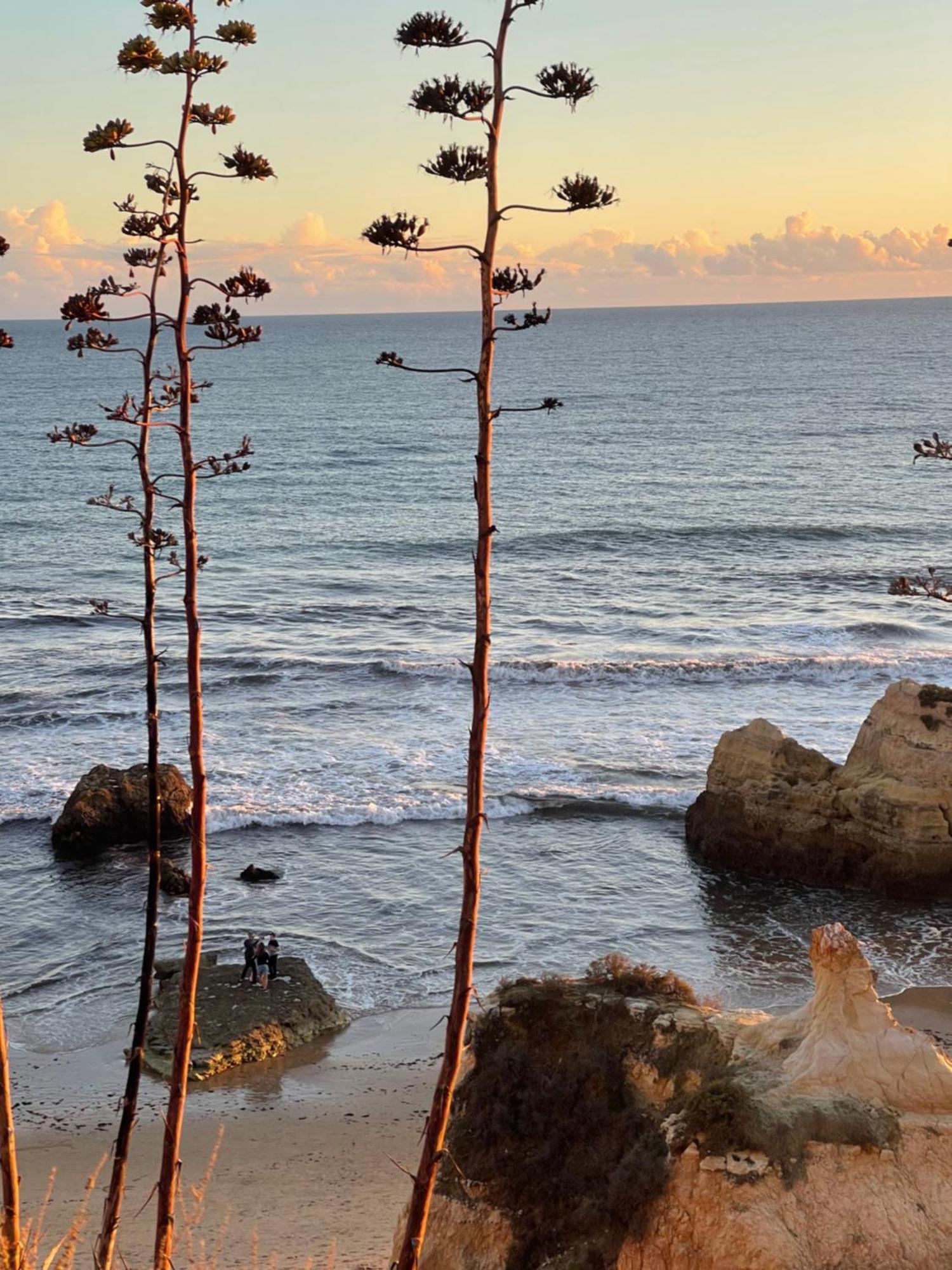 Apartamento Da Avo Te - Em Frente A Praia C Piscina Portimão Exterior foto